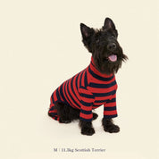 【2025年新作】ストライプ リブ ロンパース Ivy League / Striped Onesies