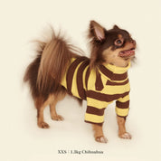 【2025新作】ストライプ リブ プルオーバー Dijon / Striped sweatshirt