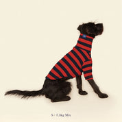 【2025新作】ストライプ リブ プルオーバー Ivy League / Striped sweatshirt