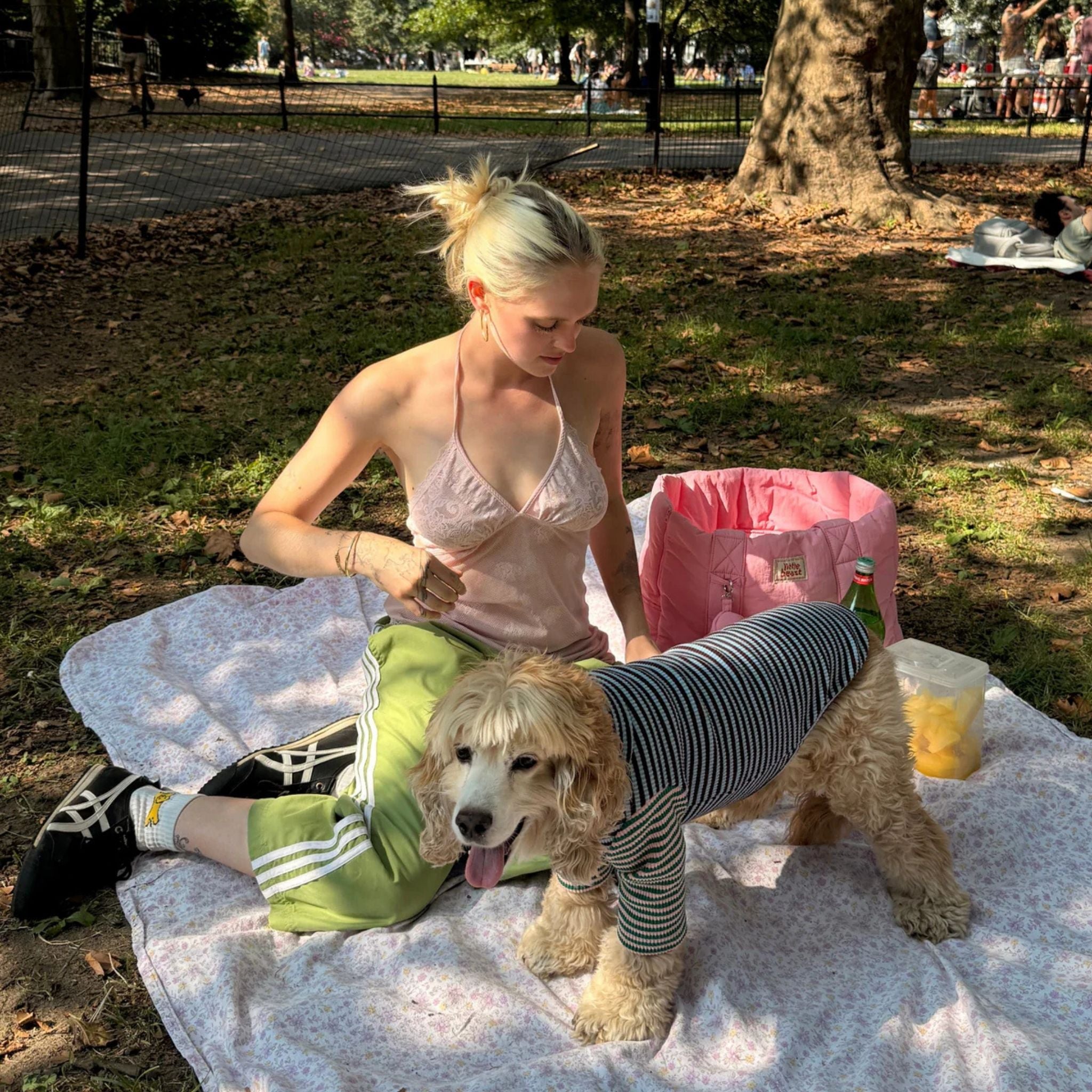 【2025新作】ストライプ リブ プルオーバー Earth and Sky / Striped sweatshirt