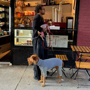 【2025年新作】ストライプ リブ ロンパース Earth and Sky / Striped Onesies