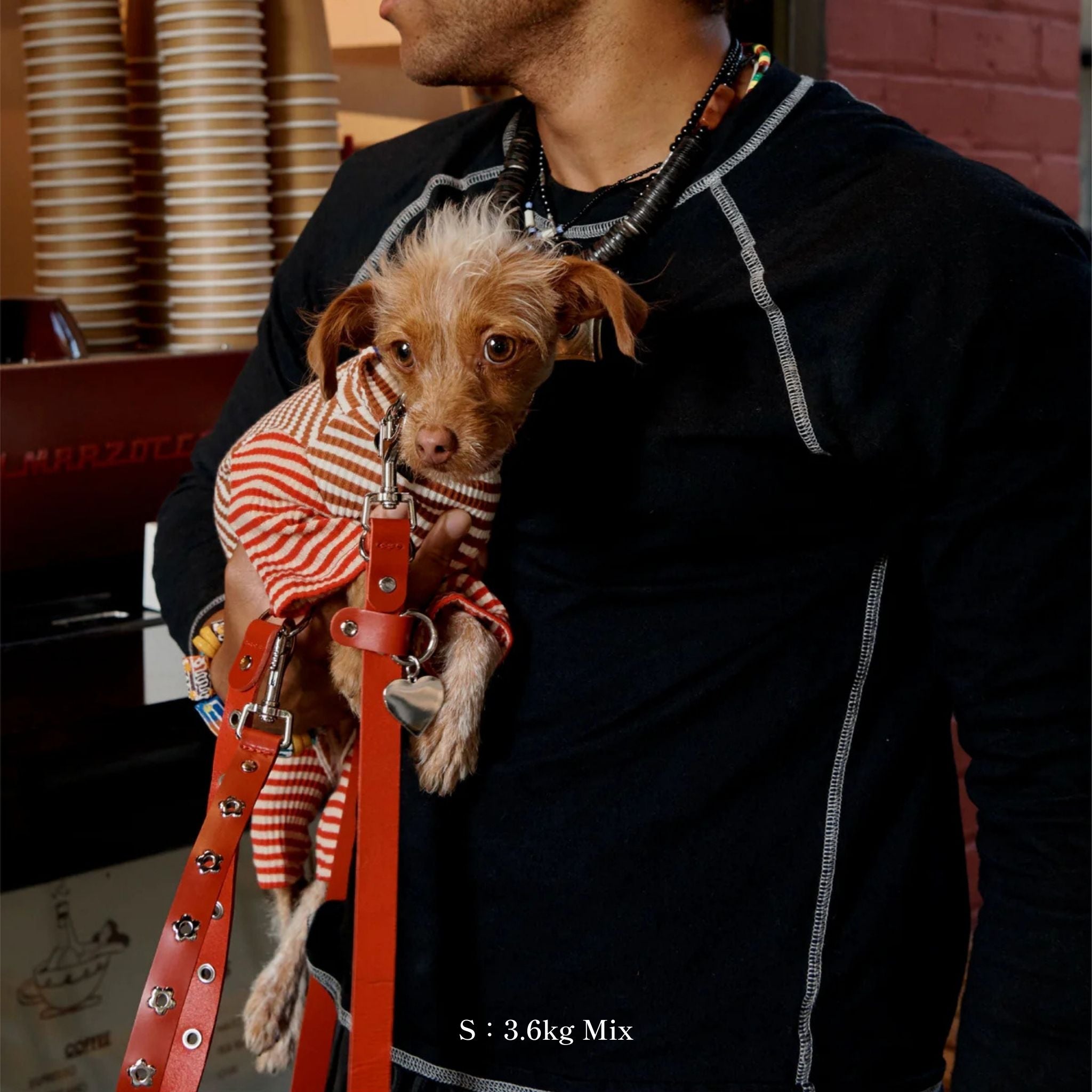 【2025年新作】ストライプ リブ ロンパース Earth and Fire / Striped Onesies