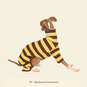 【2025年新作】ストライプ リブ ロンパース Dijon / Striped Onesies