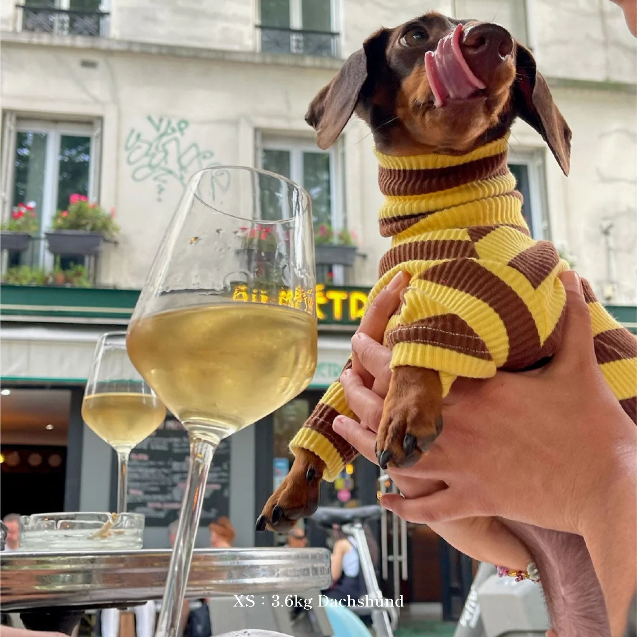 【2025年新作】ストライプ リブ ロンパース Dijon / Striped Onesies