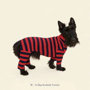 【2025年新作】ストライプ リブ ロンパース Ivy League / Striped Onesies