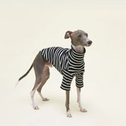 【2025新作】ストライプ リブ プルオーバー Café in Paris / Striped sweatshirt