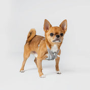 【体に優しいシリーズ】UXハーネス グレー / Ultra Explore Harness