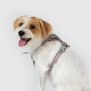 【体に優しいシリーズ】UXハーネス グレー / Ultra Explore Harness