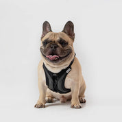 【体に優しいシリーズ】UXハーネス ブラック / Ultra Explore Harness