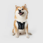 【体に優しいシリーズ】UXハーネス ブラック / Ultra Explore Harness