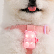 テディ ベア LEDライト / JELLYBEAR LED