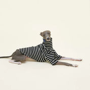 【2025新作】ストライプ リブ プルオーバー Café in Paris / Striped sweatshirt