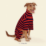 【2025年新作】ストライプ リブ ロンパース Ivy League / Striped Onesies