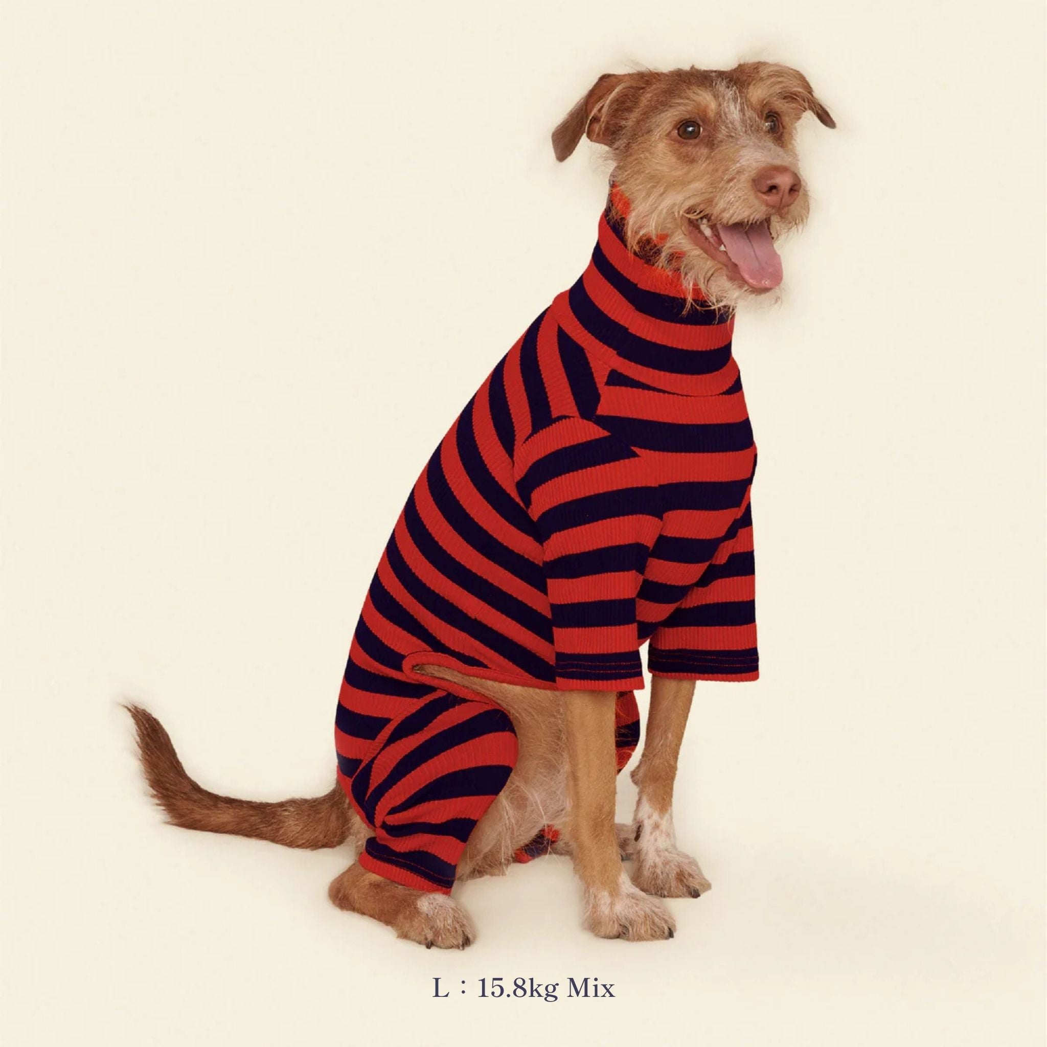 【2025年新作】ストライプ リブ ロンパース Ivy League / Striped Onesies