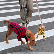 【2025新作】ストライプ リブ プルオーバー Dijon / Striped sweatshirt