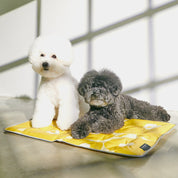 パンジークールマット / Pensee Cool Mat