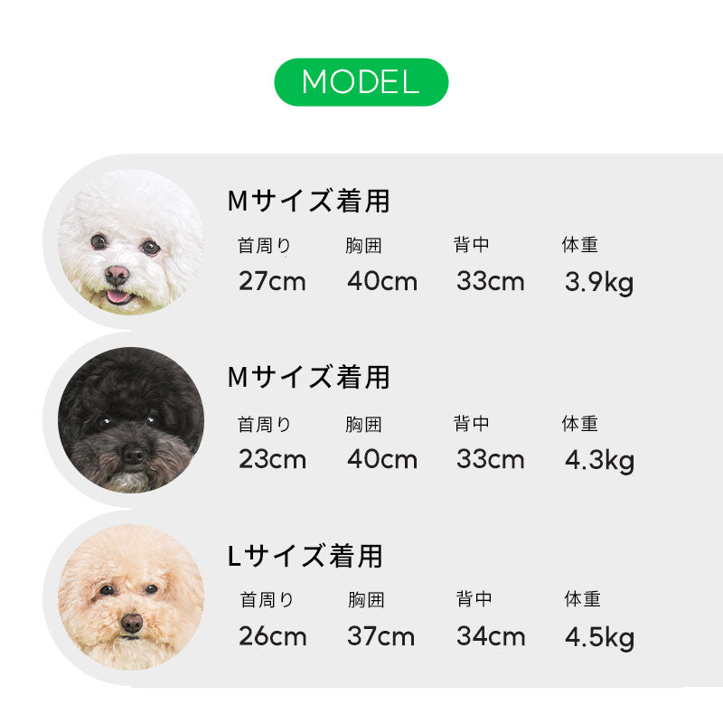 虫除け機能付きクールTシャツ / Antiburg Coolguard T-shirt