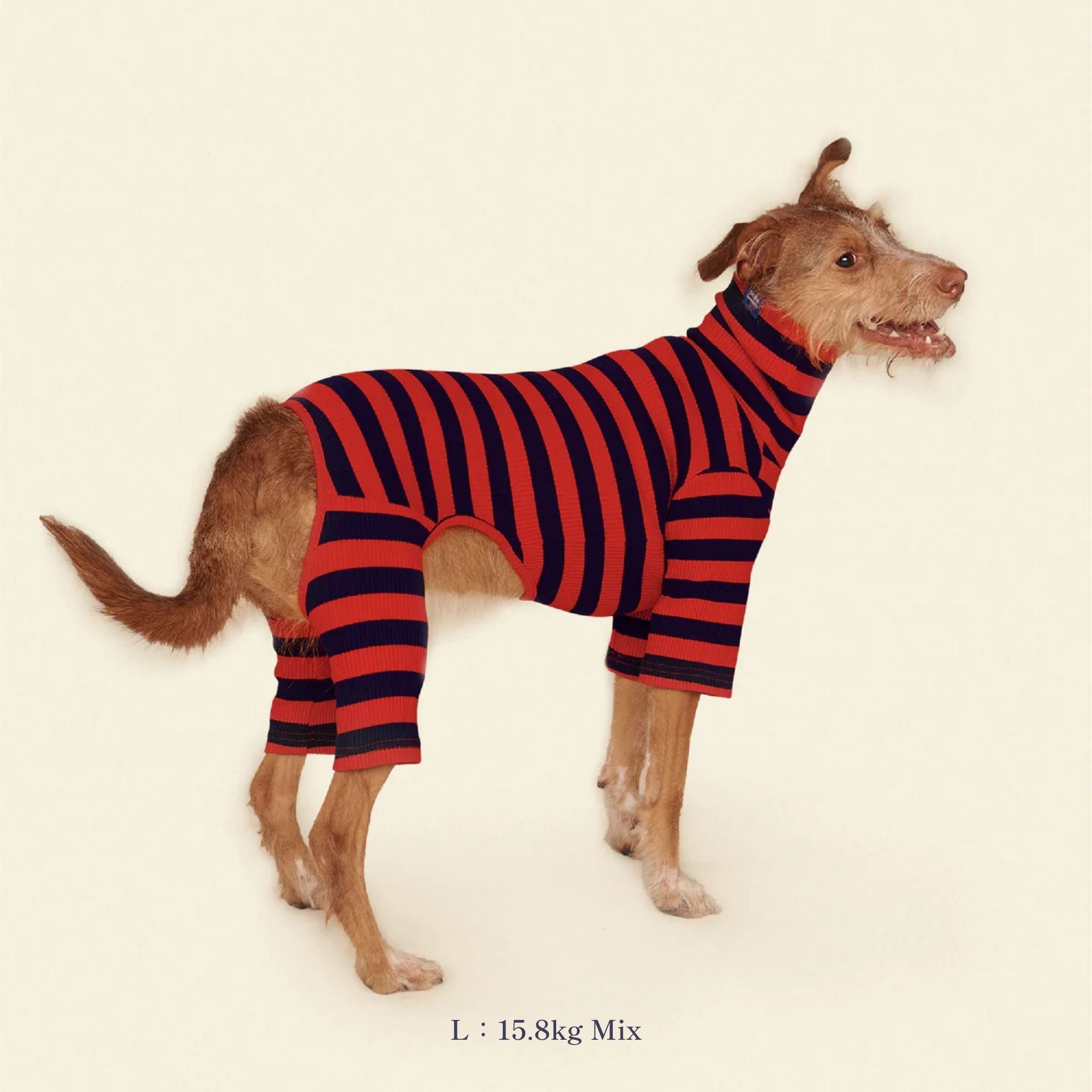 【2025年新作】ストライプ リブ ロンパース Ivy League / Striped Onesies