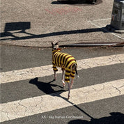 【2025年新作】ストライプ リブ ロンパース Dijon / Striped Onesies