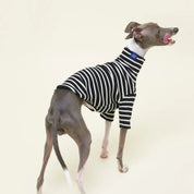 【2025新作】ストライプ リブ プルオーバー Café in Paris / Striped sweatshirt