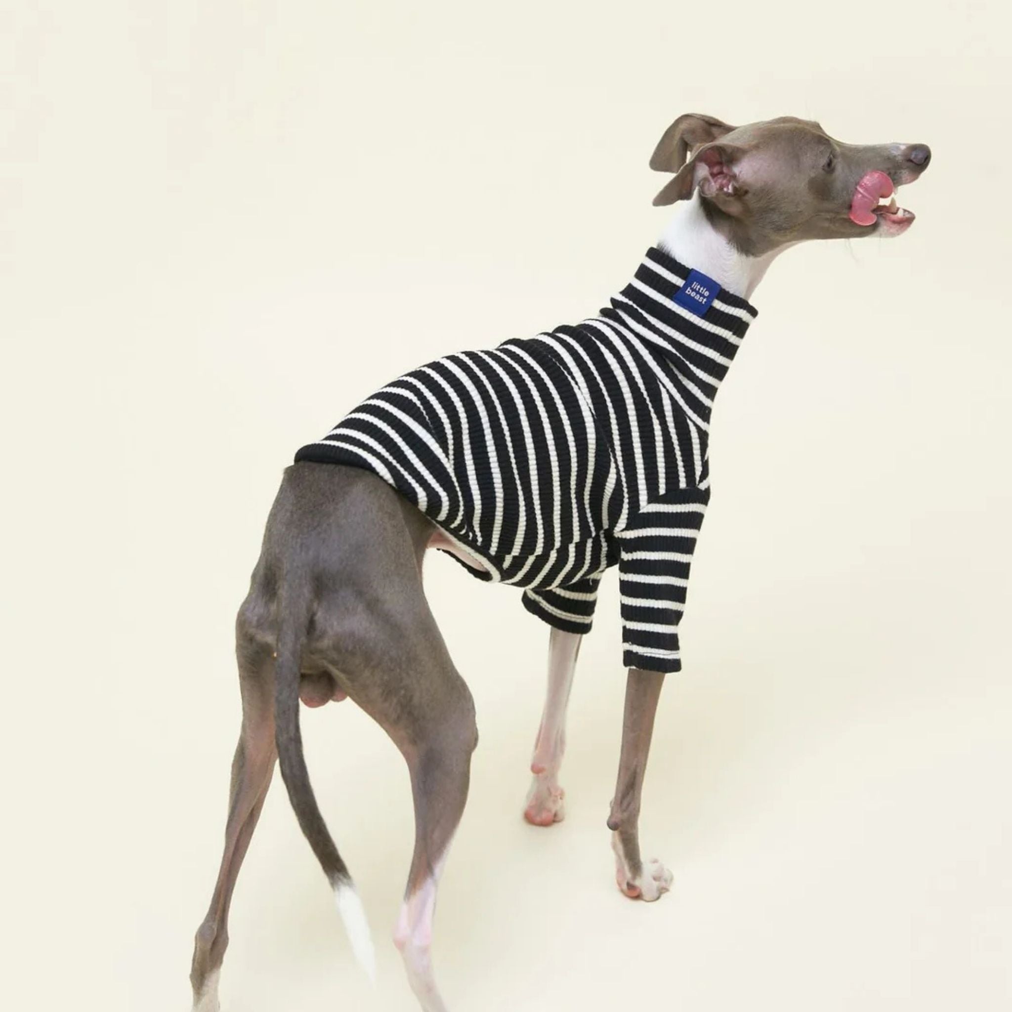 【2025新作】ストライプ リブ プルオーバー Café in Paris / Striped sweatshirt