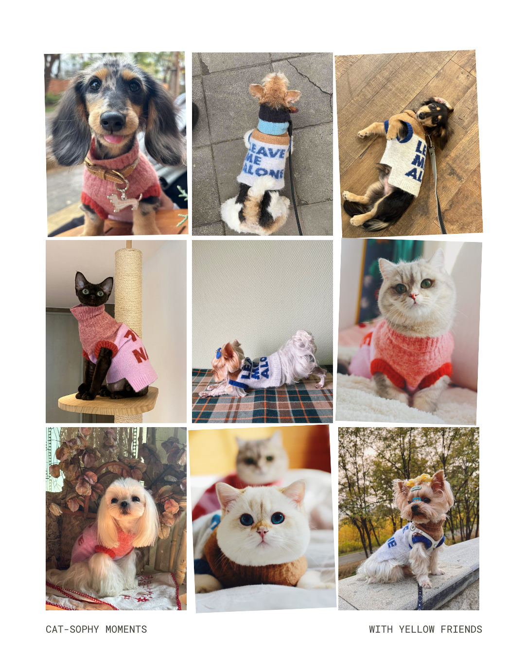 超軽量ぬくぬくペットセーター Beige Grey / ネコの哲学シリーズ アルパカウール