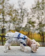 超軽量ぬくぬくペットセーター Beige Grey / ネコの哲学シリーズ アルパカウール