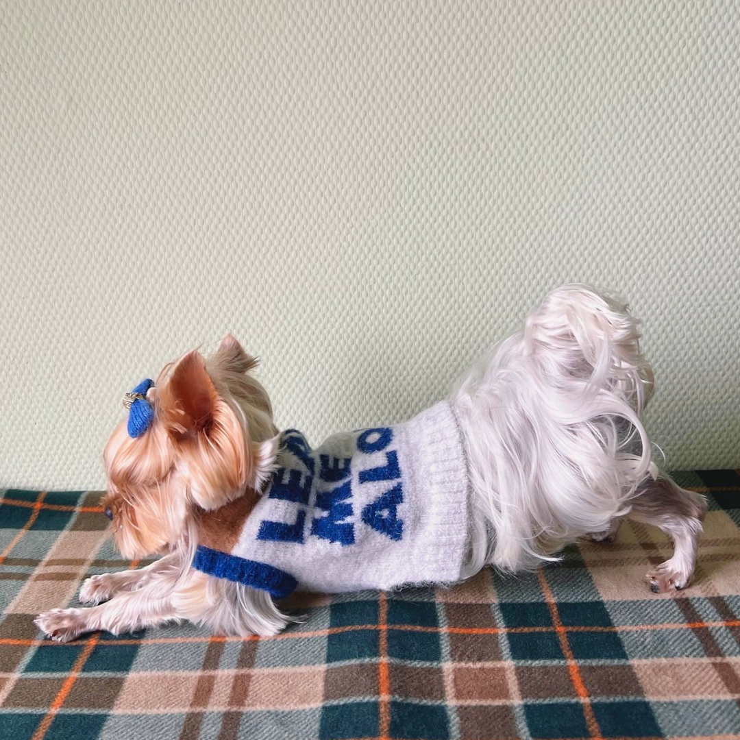 Cat-sophyKnitVest12.png