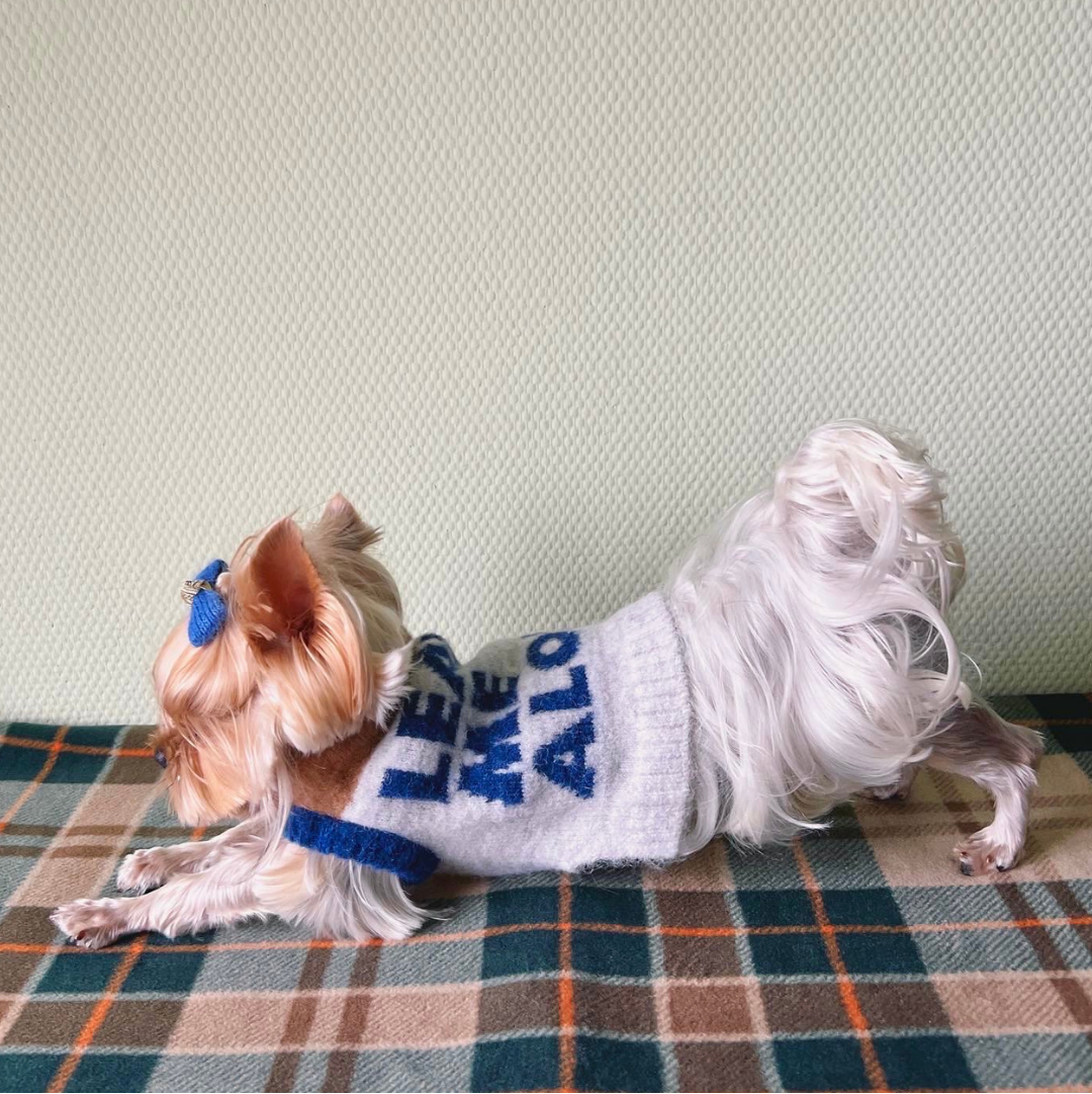 超軽量ぬくぬくペットセーター Beige Grey / ネコの哲学シリーズ アルパカウール