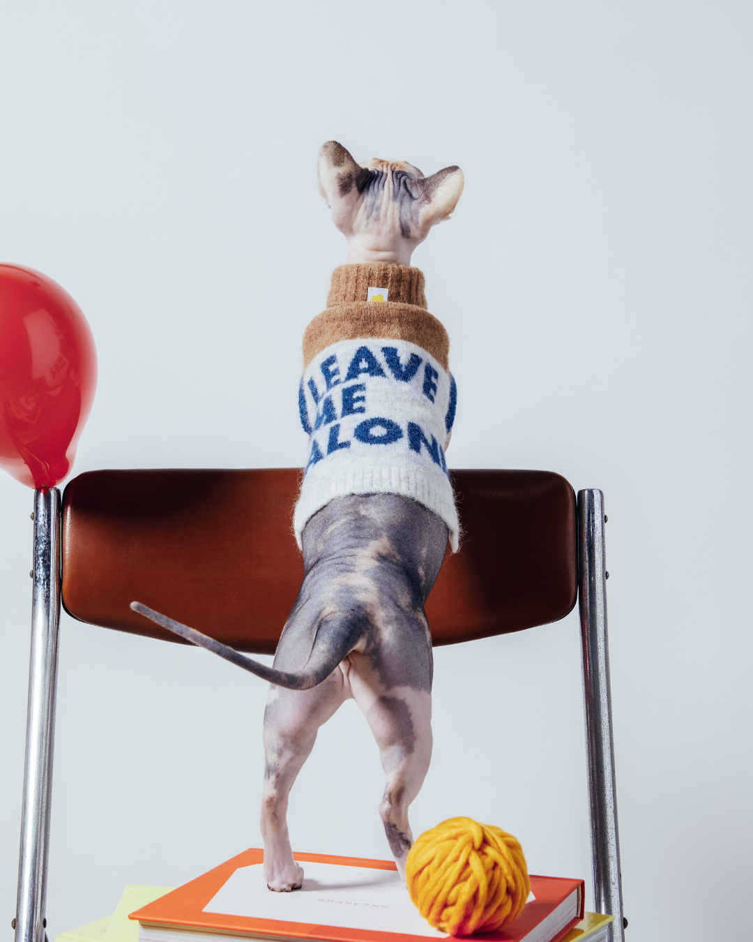 超軽量ぬくぬくペットセーター Beige Grey / ネコの哲学シリーズ アルパカウール