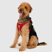 【体に優しいシリーズ】ハーネス レッド / Explore harness