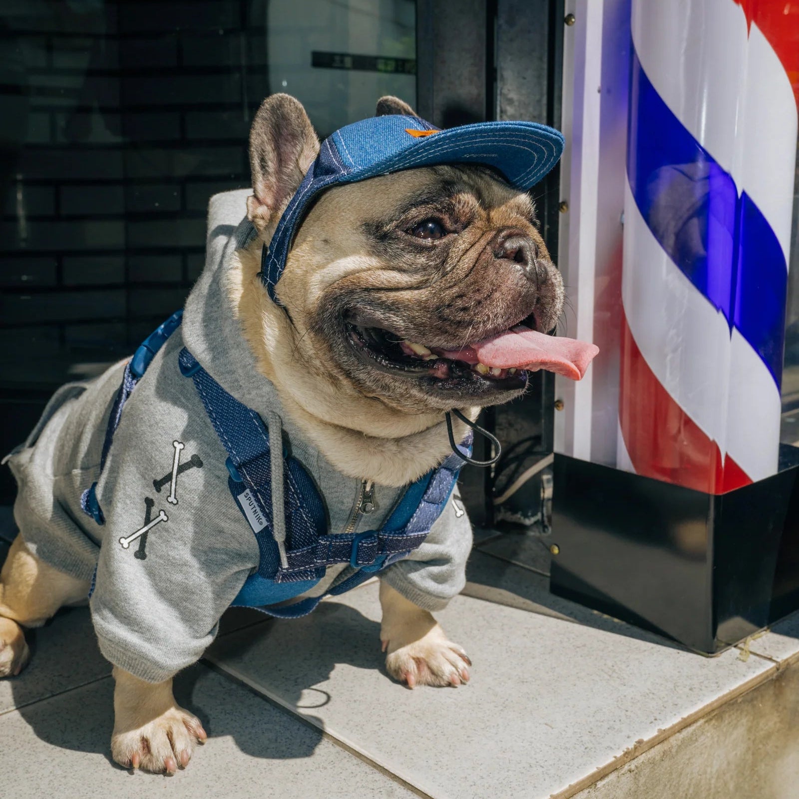 UNIVERSAL OVERALL × SPUTNIK【体に優しいシリーズ】ハーネス デニム / Harness