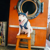 UNIVERSAL OVERALL × SPUTNIK【体に優しいシリーズ】ハーネス デニム / Harness