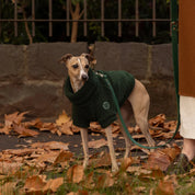 【2025年新作】テディベアプルオーバー フォレスト / Teddy Jumper