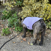 タオル地 タンクトップ / パープル