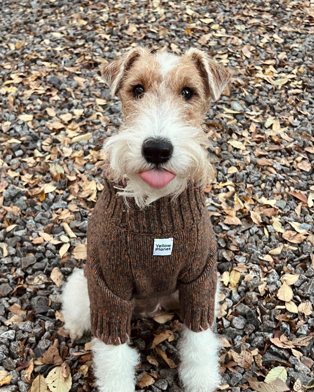 ペットセーター Rust Tweed / Funky Gentle dogシリーズ アルパカウールブレンド