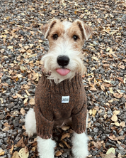 ペットセーター Rust Tweed / Funky Gentle dogシリーズ アルパカウールブレンド