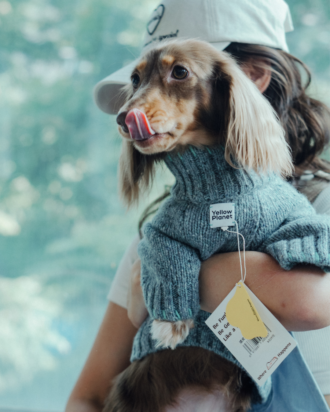 ペットセーター Sage Tweed / Funky Gentle dogシリーズ アルパカウールブレンド