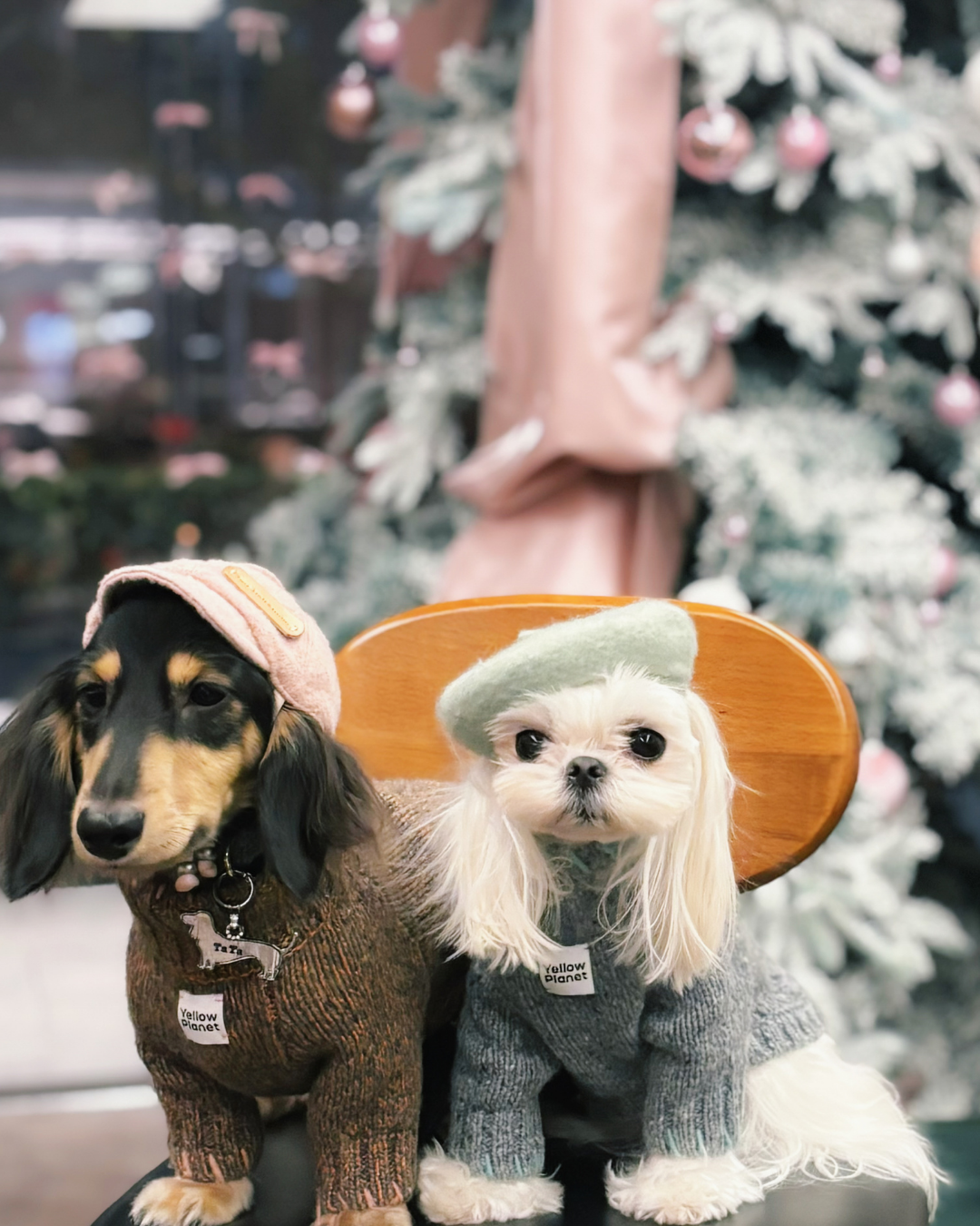 ペットセーター Rust Tweed / Funky Gentle dogシリーズ アルパカウールブレンド