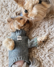 ペットセーター Sage Tweed / Funky Gentle dogシリーズ アルパカウールブレンド