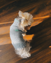 ペットセーター Sage Tweed / Funky Gentle dogシリーズ アルパカウールブレンド