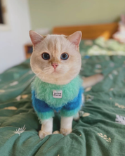 モヘアタッチニット Blue-Teal / FUWA FUWAシリーズ アートカラーブロック