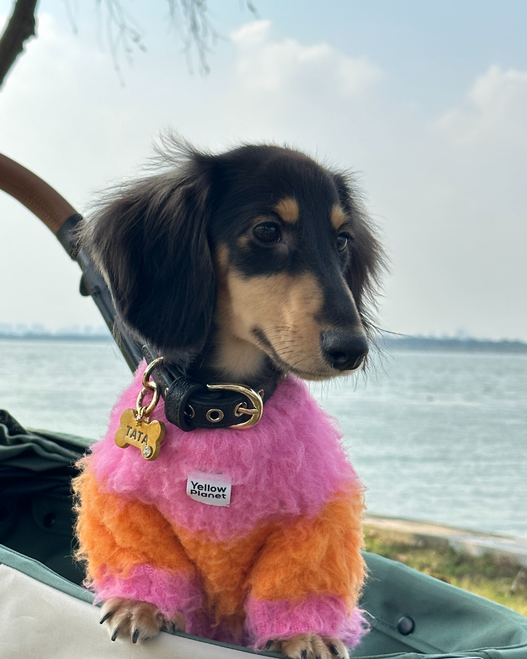 モヘアタッチニット Pink-Orange / FUWA FUWAシリーズ アートカラーブロック