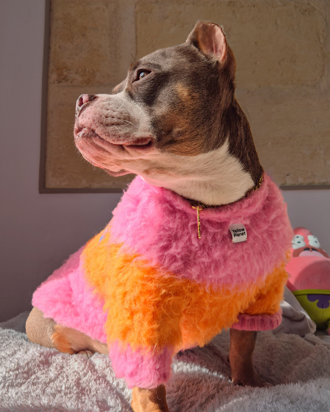 モヘアタッチニット Pink-Orange / FUWA FUWAシリーズ アートカラーブロック