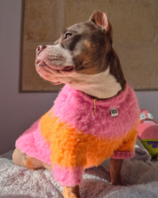 モヘアタッチニット Pink-Orange / FUWA FUWAシリーズ アートカラーブロック