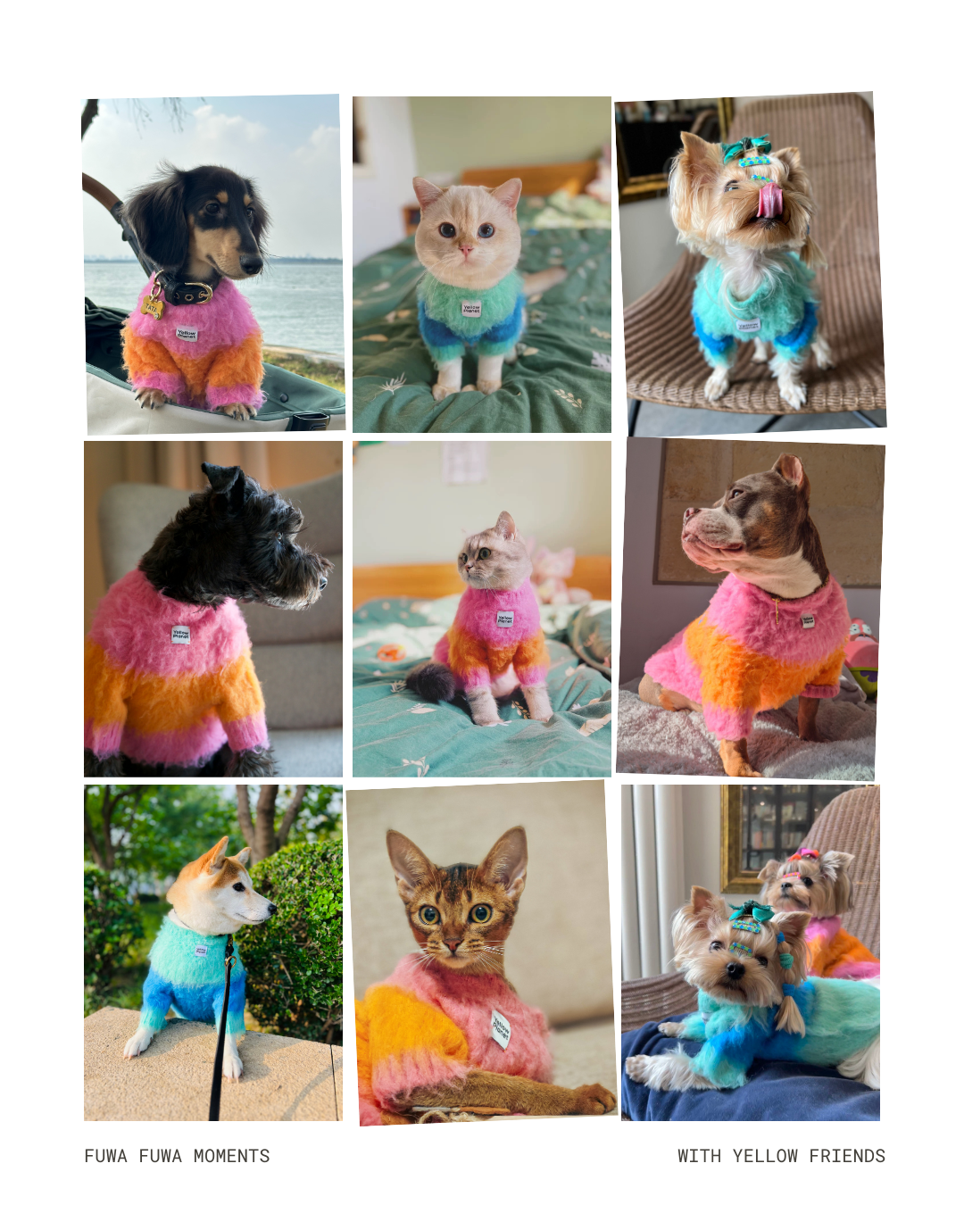 モヘアタッチニット Pink-Orange / FUWA FUWAシリーズ アートカラーブロック