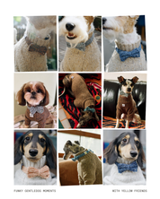 ハンドメイドニット ボウタイ / Funky Gentle dogシリーズ アルパカウールブレンド