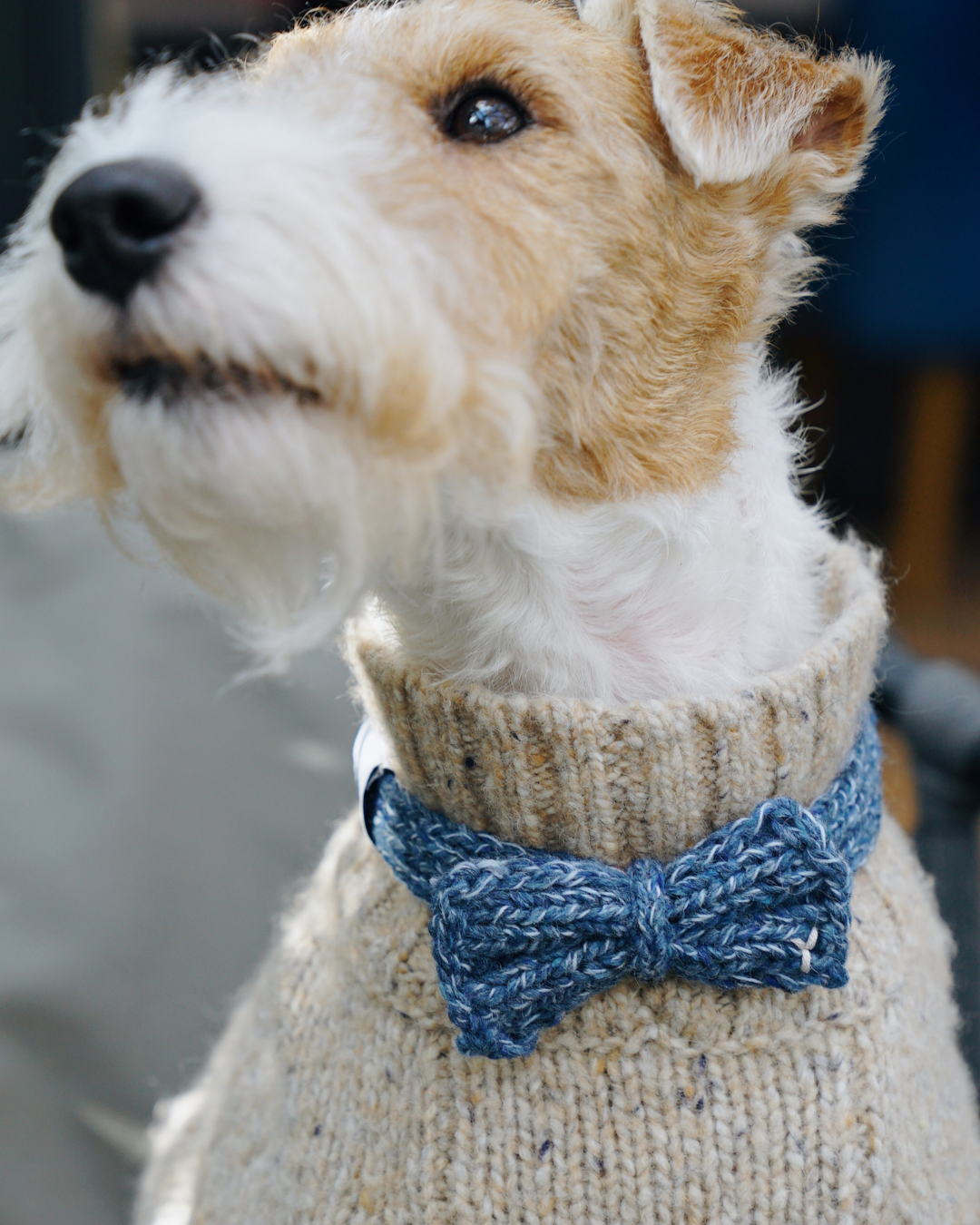 ハンドメイドニット ボウタイ / Funky Gentle dogシリーズ アルパカウールブレンド