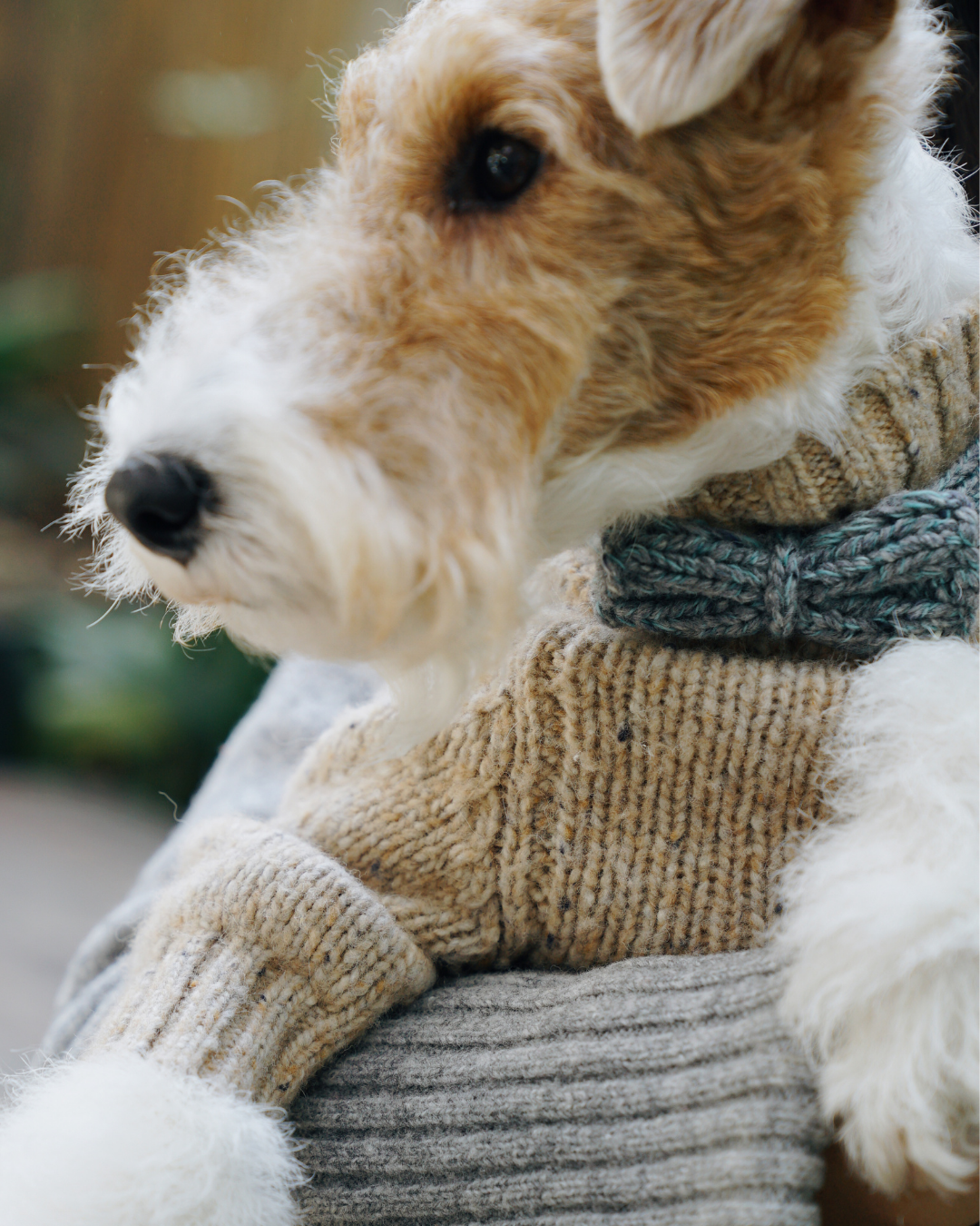 ハンドメイドニット ボウタイ / Funky Gentle dogシリーズ アルパカウールブレンド
