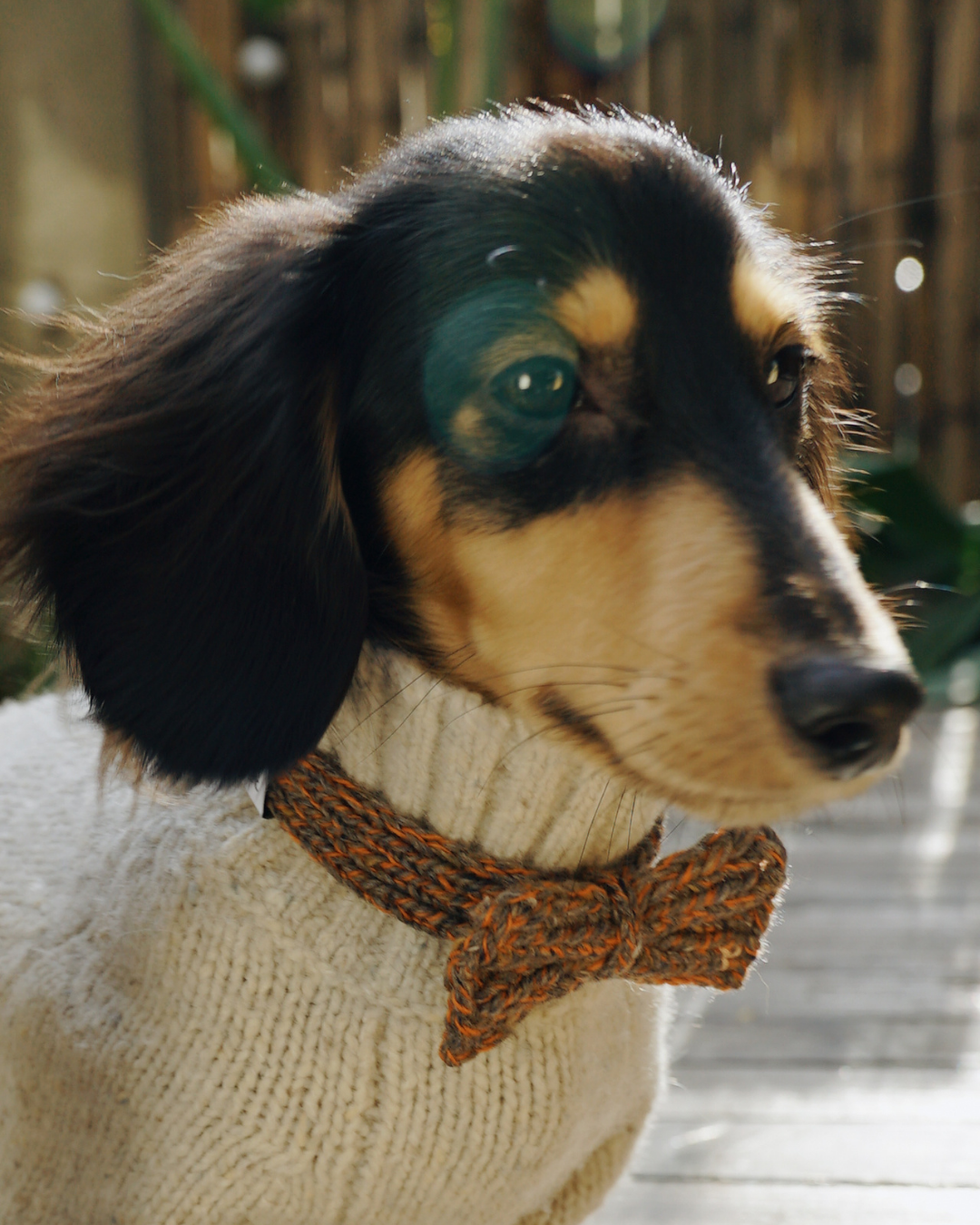 ハンドメイドニット ボウタイ / Funky Gentle dogシリーズ アルパカウールブレンド